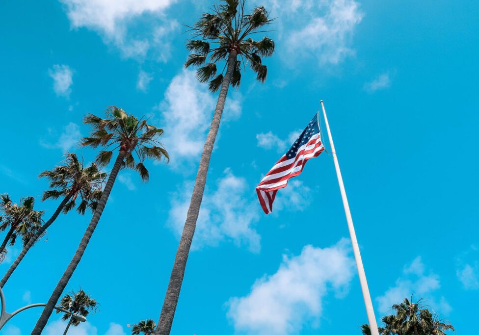 Amercian flag and palm trees